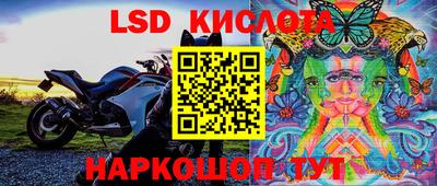 spice Будённовск