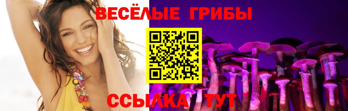 Ставрополь  Псилоцибиновые грибы Psilocybine cubensis  Вход с VPN 